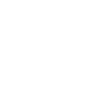 Healthy Burger